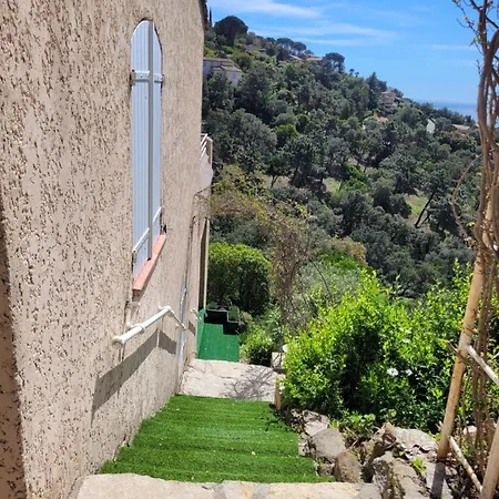 Sarazine Дом отдыха *